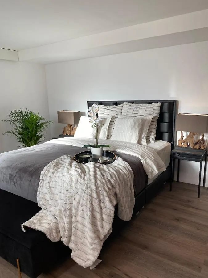 Private Spa Lux With Whirlpool And Sauna In Zurich